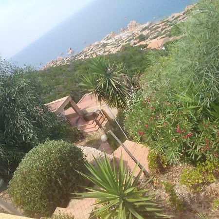 Appartamento Le Pleiadi Costa Paradiso Zewnętrze zdjęcie
