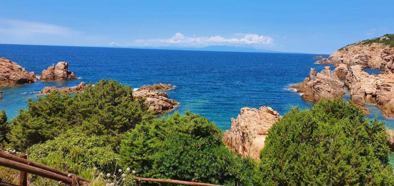 Appartamento Le Pleiadi Costa Paradiso Zewnętrze zdjęcie