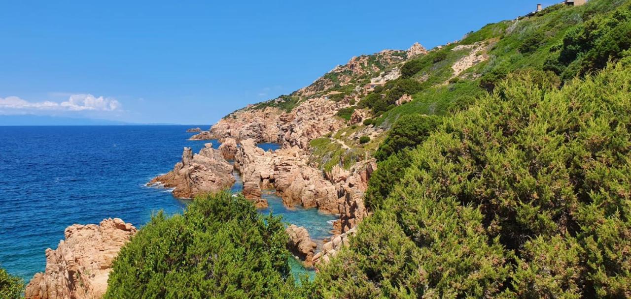 Appartamento Le Pleiadi Costa Paradiso Zewnętrze zdjęcie