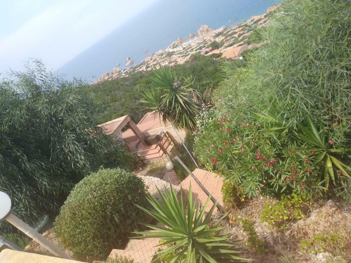 Appartamento Le Pleiadi Costa Paradiso Zewnętrze zdjęcie